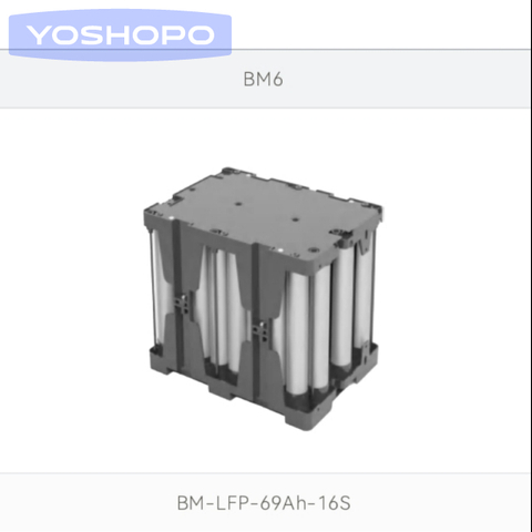 BM6